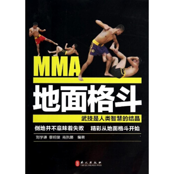 地麵格鬥 pdf epub mobi 下载