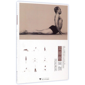 艾揚格瑜伽進階教程 pdf epub mobi 電子書 下載