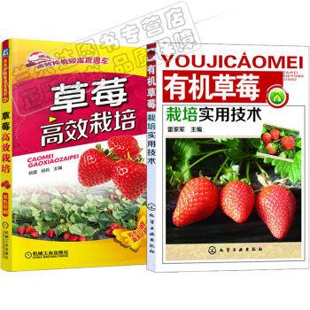 區域包郵:高效種植緻富直通車:草莓高效栽培+有機草莓栽培實用技術 2本