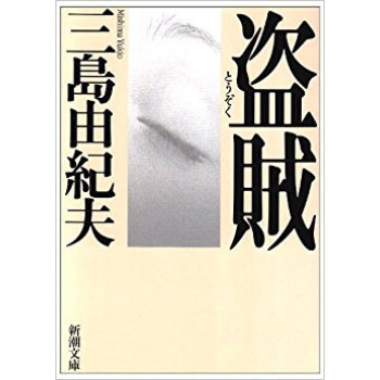 盗賊 pdf epub mobi 下载