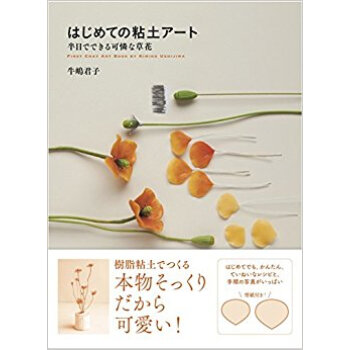 はじめての粘土アート 半日でできる可憐な草花 pdf epub mobi 下载