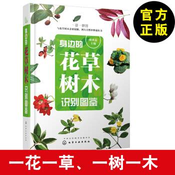 身邊的花草樹木識彆圖鑒 多肉園林植物花草樹木鑒賞欣賞鑒彆書籍 植物形態特徵分類種類大全書 pdf epub mobi 電子書 下載