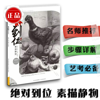 2017绝对到位素描静物 素描静物联考校考临摹范本 素描静物教程入门教学教材类静物组合绘画 pdf epub mobi 电子书 下载