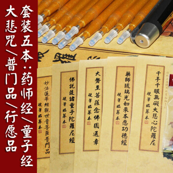 5本套装抄经本:药师经/童子经/大悲咒/观音菩萨普门品/行愿品 佛经硬笔临摹本 pdf epub mobi 下载