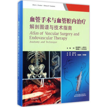 血管手術與血管腔內治療 pdf epub mobi 電子書 下載