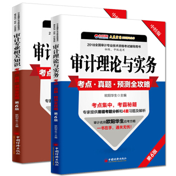 共2冊 2018審計師考試輔導 審計理論與實務+審計專業相關知識考點·真題·預測全攻略 初級中級 pdf epub mobi 下载