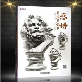 2017极度教学 感悟素描石膏像 丁兴超石膏头像五官结构明暗 pdf epub mobi 电子书 下载