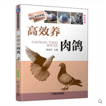 高效养肉鸽 科学养鸽子书籍 肉鸽养殖的书籍 鸽子养殖技术教程 农业特种养殖技术大全教材 pdf epub mobi 电子书 下载