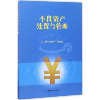 不良資産處置與管理 pdf epub mobi 下载