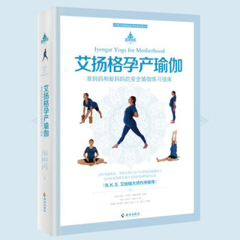 正版包邮 艾扬格孕产瑜伽 准妈妈新妈妈孕前准备孕期产后修复安全瑜珈练习指南 产后瑜伽书籍 pdf epub mobi 下载