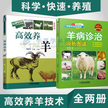 養羊書籍 高效養羊+羊病診治原色圖譜 2本套裝 羊病防治實用手冊 養羊技術大全 書籍 pdf epub mobi 下载