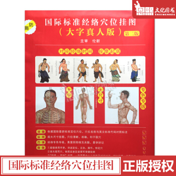 国际标准经络穴位挂图（大字真人版）第2二版 中医推拿针灸艾灸拔罐按摩大全养生保健人体经络穴位彩色图解 pdf epub mobi 下载