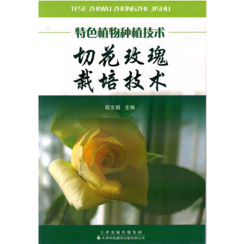 切花玫瑰栽培技术农业书籍农家书屋关于玫瑰的书玫瑰的栽培