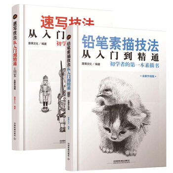 速写书技法从入门到精通+铅笔素描技法从入门到精通 2册 人物速写入门基础教程 美术绘画入 pdf epub mobi 下载