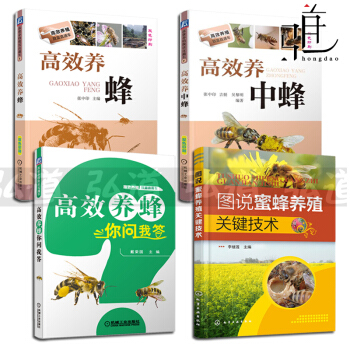 养蜂技术书籍4册 图说蜜蜂养殖关键技术+高效养蜂+高效养中蜂+高效养蜂你问我答 蜜蜂饲养的