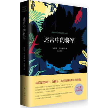 迷宮中的將軍 pdf epub mobi 電子書 下載