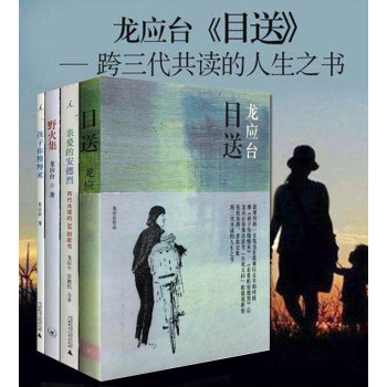 龍應颱作品全集4冊(全套) 目送 孩子你慢慢來 親愛的安德烈 野火集 經典勵誌傢教