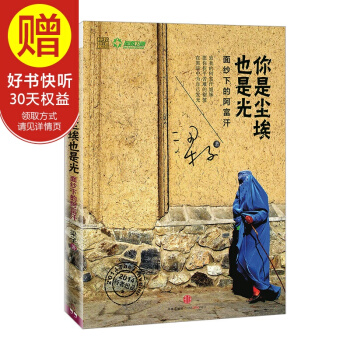 你是尘埃也是光 中信出版社 pdf epub mobi 下载