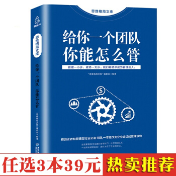 给你一个团队你能怎么管企业管理书籍 MBA商学院受欢迎的团队管理课程 手把手教你打造企业 pdf epub mobi 电子书 下载