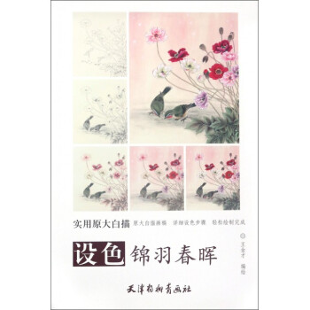 設色錦羽春暉/實用原大白描 pdf epub mobi 下载