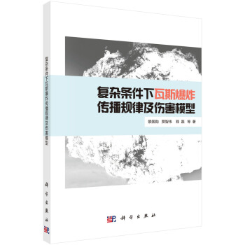 复杂条件下瓦斯爆炸传播规律及伤害模型 pdf epub mobi 下载