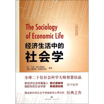 经济生活中的社会学 pdf epub mobi 下载