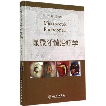 顯微牙髓治療學 pdf epub mobi 下载