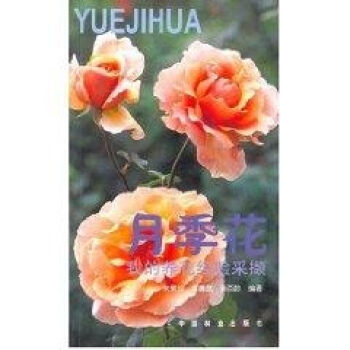 月季花: 我的養花經驗采擷