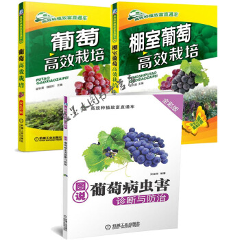 棚室葡萄高效栽培+葡萄优质高效栽培+葡萄病虫害诊断与防治 葡萄种植技术书籍
