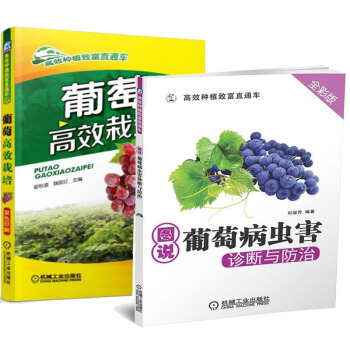 葡萄种植书籍+葡萄病虫害防治技术书 现代农业科技图书 生态农业书籍 种植技术书 pdf epub mobi 下载