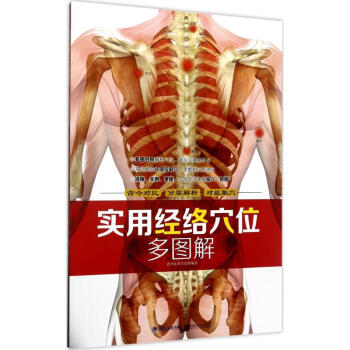 实用经络穴位多图解