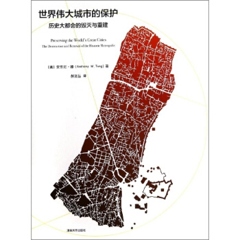 世界偉大城市的保護 pdf epub mobi 下载