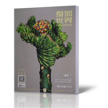 攝影世界雜誌 2016年1月總第409期 攝影+ 藝術攝影類
