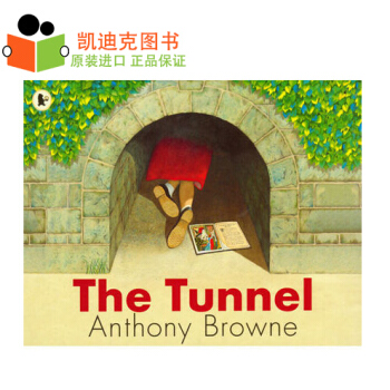 英文原版绘本 安东尼布朗 The Tunnel 隧道 平装#