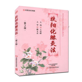 扶陽化膿灸法(第2版)王廷峰 中醫針灸艾灸療法書籍 pdf epub mobi 電子書 下載