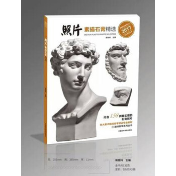2017巔峰教學 照片素描石膏精選 蔣銘科石膏頭像照片書正版 pdf epub mobi 下载