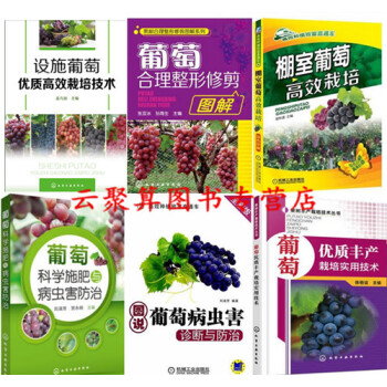 葡萄栽培種植技術大全書籍 設施葡萄優質高效栽培技術+大棚室葡萄+病蟲害診斷與防治+科學施肥 pdf epub mobi 下载