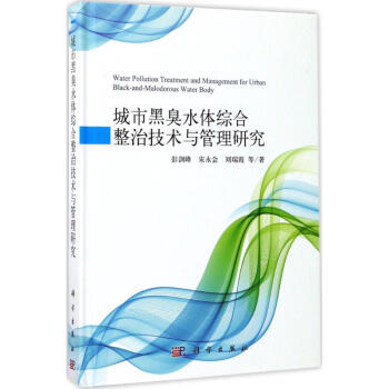 城市黑臭水体综合整治技术与管理研究
