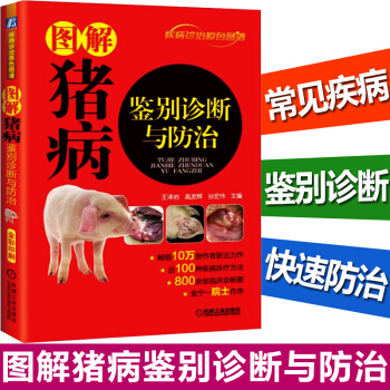 包郵 圖解豬病鑒彆診斷與防治 王澤岩 高發輝 孫宏偉 著 養豬技術大全書籍 豬科學飼養