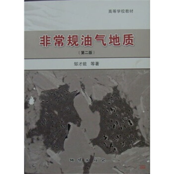 非常規油氣地質(第二版)鄒纔能 地質齣版社