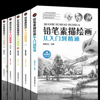 鉛筆素描繪畫從入門到精通 簡筆畫大全彩色鉛筆繪畫技法教程 速寫技法 國畫基礎教程素描基 pdf epub mobi 下载