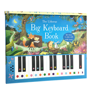 【中商原版】可以彈的鋼琴書 大鍵盤音樂書發聲書 操作書英文原版Big Keyboard Book pdf epub mobi 下载