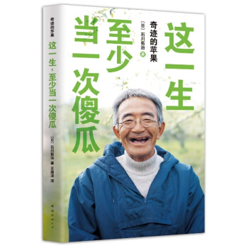 這一生,至少當一次傻瓜 pdf epub mobi 電子書 下載