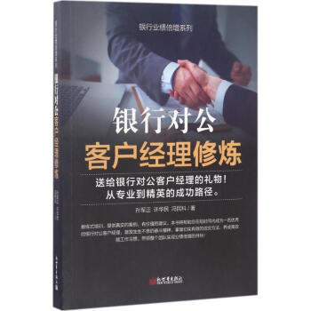 银行对公客户经理修炼 pdf epub mobi 下载