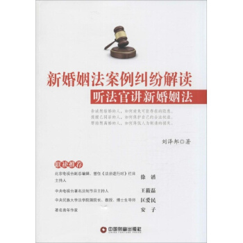 新婚姻法案例纠纷解读 pdf epub mobi 下载
