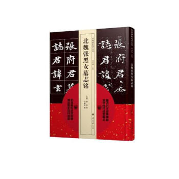 北魏张黑女墓志铭 书法 书籍 pdf epub mobi 下载