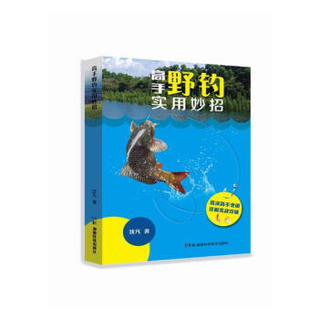 高手野钓实用妙招 体育/运动 书籍 pdf epub mobi 下载