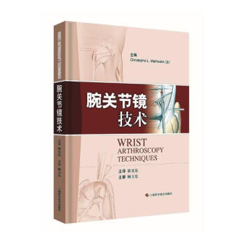 腕關節鏡技術 醫學 書籍 pdf epub mobi 下载
