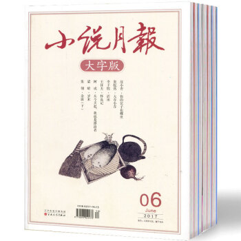 小说月报杂志大字版7本打包2017年1-6月+2016年试刊过期刊百花文艺出版中长篇散文小说 pdf epub mobi 下载
