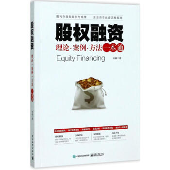股权融资 pdf epub mobi 下载